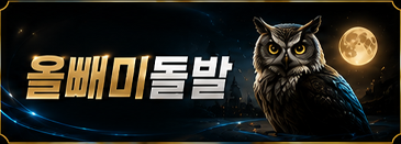 올빼미돌발